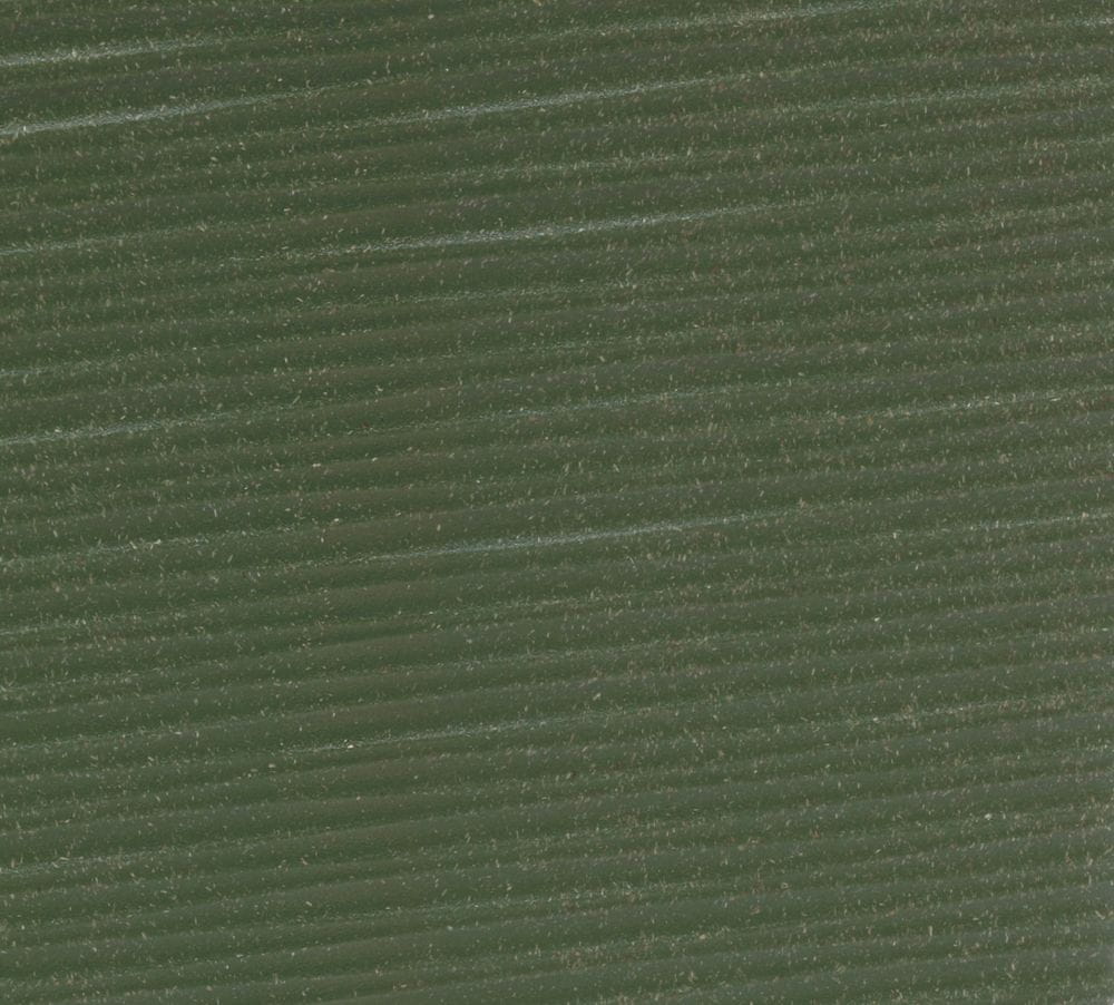 Lamela květináč FINEZIA ECO DLUTO vroubek 19 x 19 cm, lesní zelená