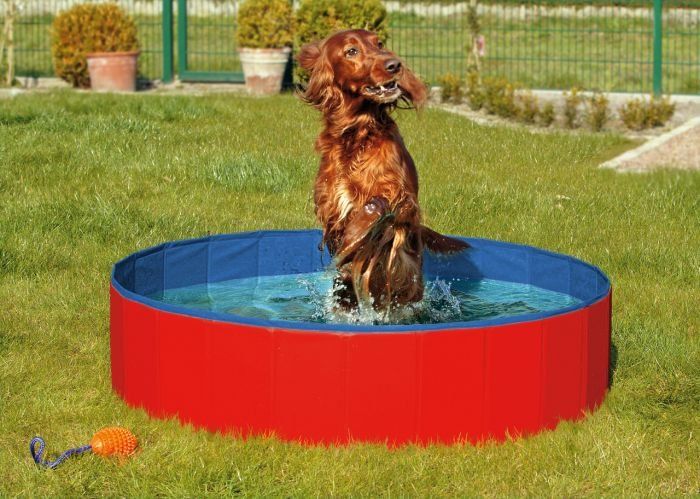 Karlie skládací bazén pro psy modro/červený 120x30 cm