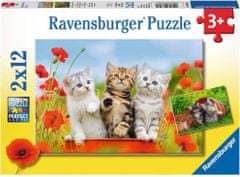 Ravensburger  Puzzle Kočičí dobrodružství 2x12 dílků