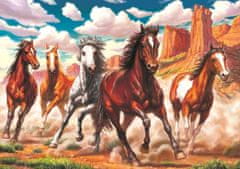 Art puzzle  Divoké koně v údolí 1000 dílků