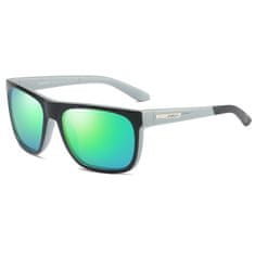 Dubery Newton 6 sluneční brýle, Black & Grey / Green