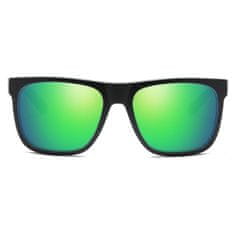Dubery Newton 6 sluneční brýle, Black & Grey / Green