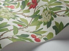 Cole & Son Tapeta STRAWBERRY TREE 10049, kolekce ARCHIVE ANTHOLOGY