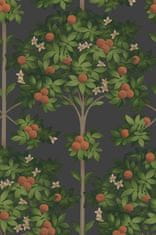 Cole & Son Tapeta ORANGE BLOSSOM 03 z kolekce SEVILLE