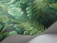 Cole & Son Tapeta ROYAL FERNERY 3009, kolekce MARTYN LAWRENCE BULLARD