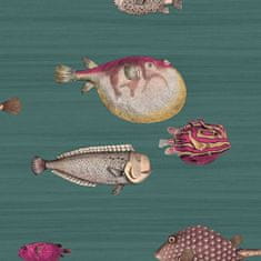 Cole & Son Tapeta ACQUARIO 12024, kolekce FORNASETTI