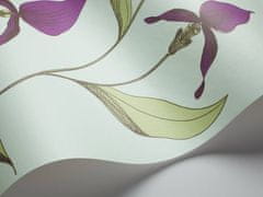 Cole & Son Tapeta ORCHID 4027, kolekce NEW CONTEMPORARY