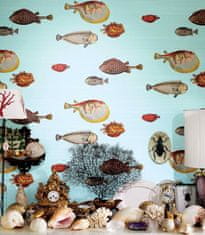 Cole & Son Tapeta ACQUARIO 10030, kolekce FORNASETTI SENZA TEMPO