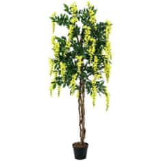 Europalms Vistárie, žlutá, 150 cm