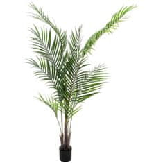Europalms Areca palma s velkými listy, 165 cm