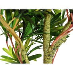 Europalms Nohoplod stromek, 90 cm