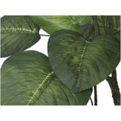 Europalms Pothos stromek, 150cm