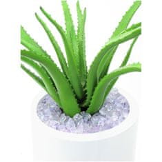 Europalms Aloe vera, 63 cm