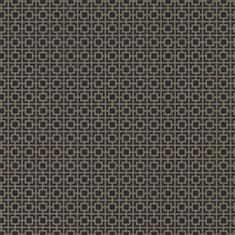 ZOFFANY Tapeta SEIZO VINE BLACK 312826, kolekce MUSE