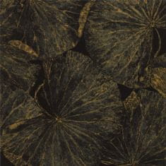 ZOFFANY Tapeta TAISHO DECO VINE BLACK 312750, kolekce MUSE