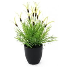 Europalms Květináč s bylinkami, 40 cm