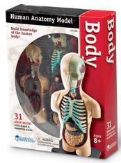 Learning Resources Anatomický model lidského těla