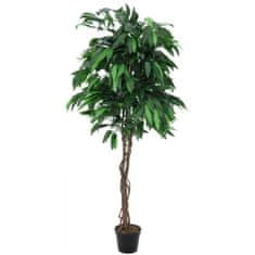 Europalms Strom Mango, 180 cm