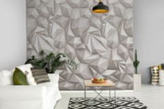 Fototapeta na zeď - 3D tapeta Concrete Stones A35001, 159 x 280 cm, Enthusiast, Murals