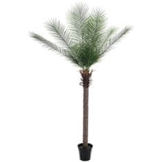 Europalms Phoenix palma deluxe, 220 cm