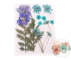 Kraftika Sušené listy a květy morače, mix, modré