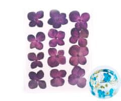 Kraftika Sušené květiny, fialové barvené hortenzie