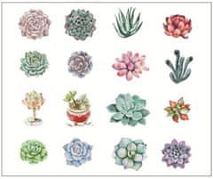 Kraftika Papírové nálepky s motivem květin, kaktusu, sukulentu