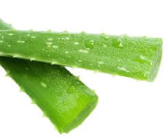 Kraftika Vůně - aloe vera, pro výrobu olejů, mýdla, svíček