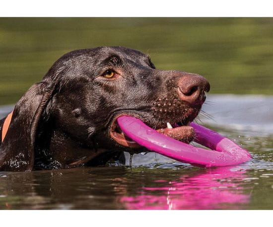 Trixie Kroužek, růžový, plovoucí, termoplastová guma (trp) 17 cm