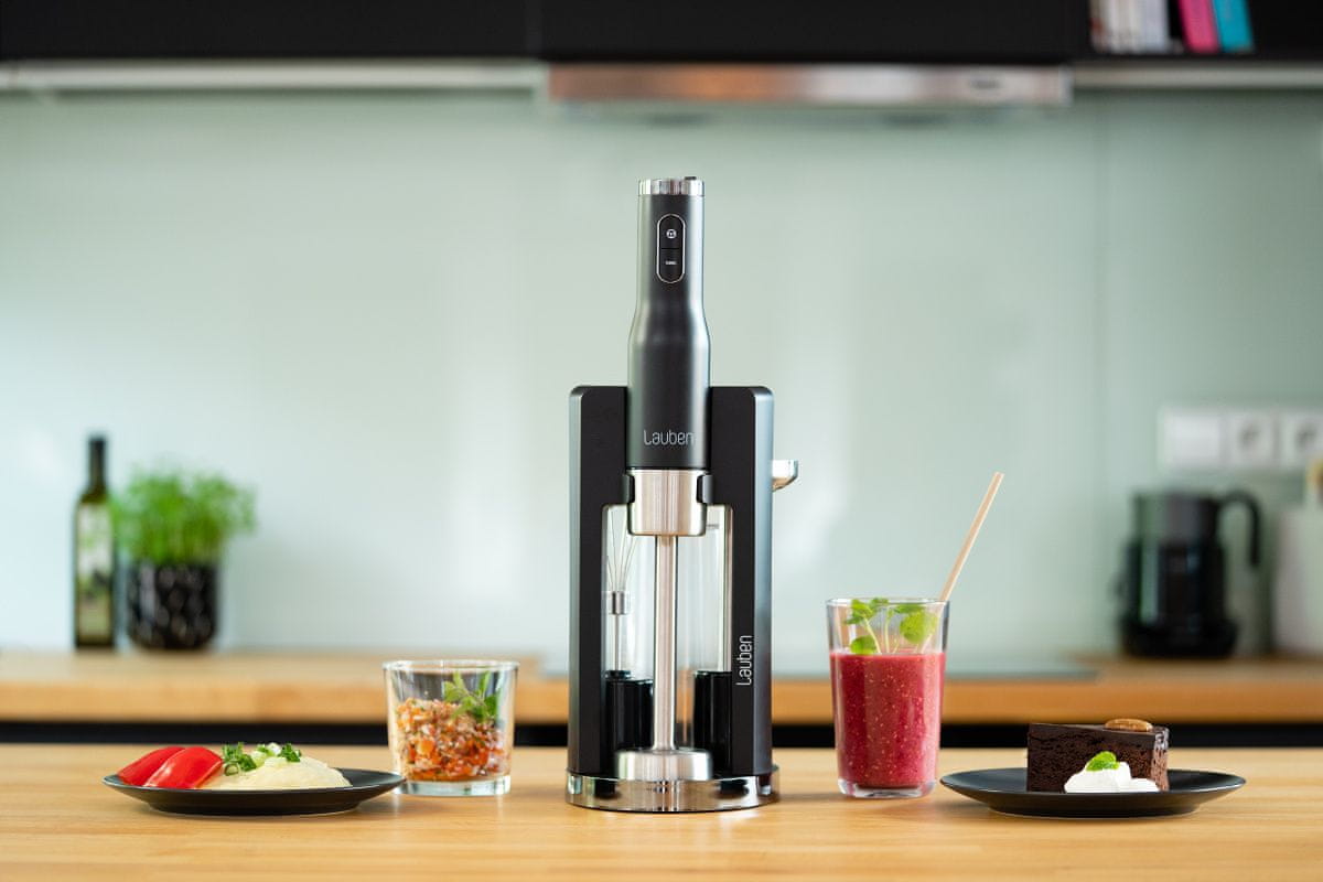  Lauben Stick Blender 800AT 