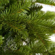 Vánoční stromek Jedle Kavkazská 220 cm
