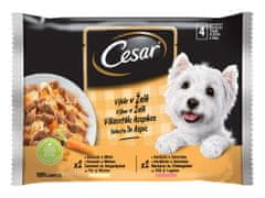 Cesar kapsičky pro dospělé psy výběr v želé 52x100 g