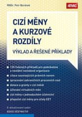 Petr Beránek: Cizí měny a kurzové rozdíly - Výklad a řešené příklady