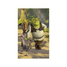 Walltastic Fototapeta SHREK 150 x 240cm, 43084