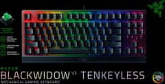 Razer BlackWidow V3 Tenkeyless, Razer Green, US (RZ03-03490100-R3M1)