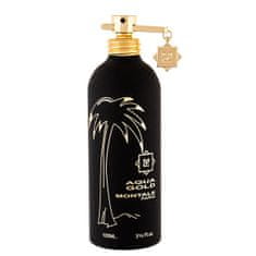 Montale Paris Aqua Gold - EDP 2 ml - odstřik s rozprašovačem