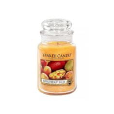 Yankee Candle Aromatická svíčka Mango Peach Salsa 623 g