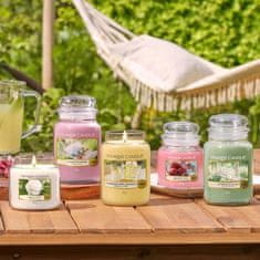 Yankee Candle vonná svíčka Calamansi Cocktail (Koktejl z calamondinu) 411g