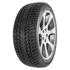 Fortuna 205/40R17 84 V FORTUNA GOWIN UHP2