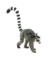 Mojo Lemur kata s mládětem