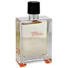 Hermès Terre D´ Hermes - EDT TESTER 100 ml