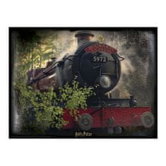 Nanostad 3D Puzzle Harry Potter - Bradavický Express, 500 ks