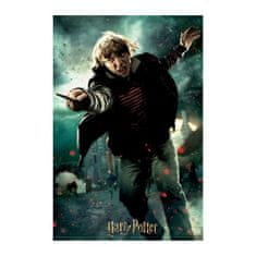 Nanostad 3D Puzzle Harry Potter - Ron, 300 ks