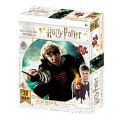 Nanostad 3D Puzzle Harry Potter - Ron, 300 ks