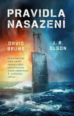 Bruns David, Olson J. R.: Pravidla nasazení