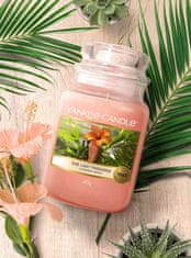 Yankee Candle vonná svíčka The Last Paradise (Poslední ráj) 623g