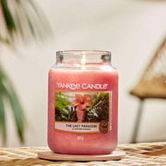 Yankee Candle vonná svíčka The Last Paradise (Poslední ráj) 623g