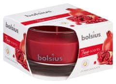 Bolsius Svíčka Bolsius Jar True Scents 50/80 mm, vonná, granátové jablko