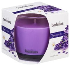 Bolsius Svíčka Bolsius Jar True Scents 95/95 mm, vonná, levandule