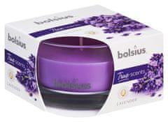 Bolsius Svíčka Bolsius Jar True Scents 50/80 mm, vonná, levandule